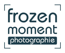 Logo Frozen Moment